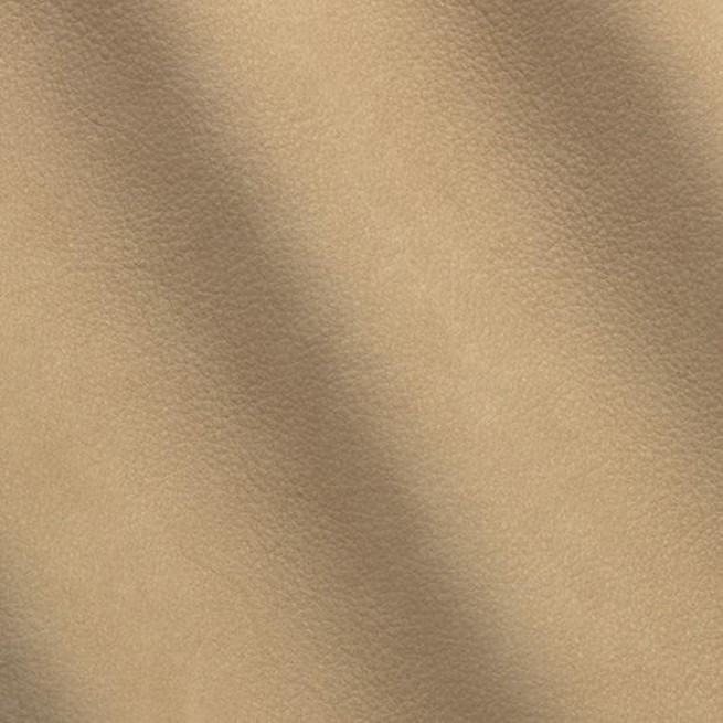 Aligo Group фото