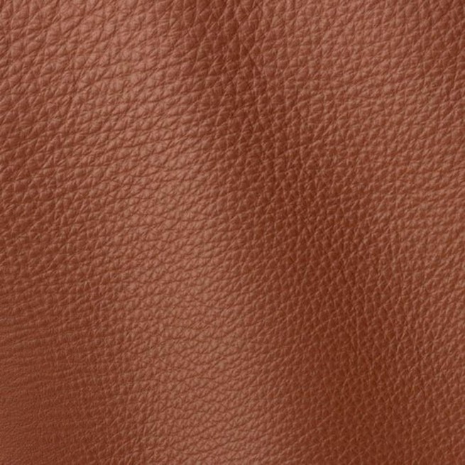 Aligo Group фото