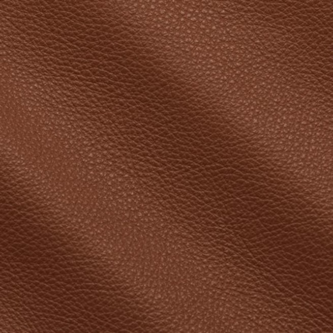 Aligo Group фото