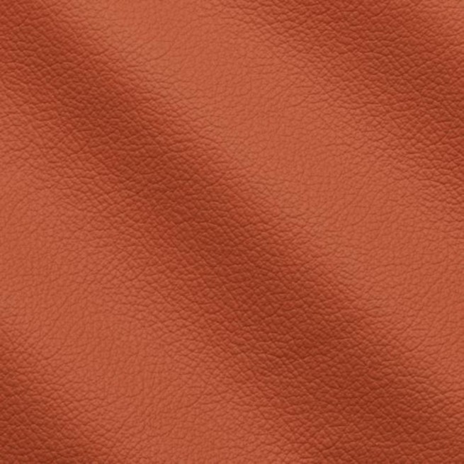 Aligo Group фото