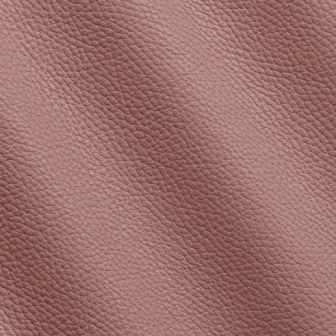 Aligo Group фото