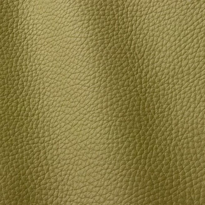 Aligo Group фото