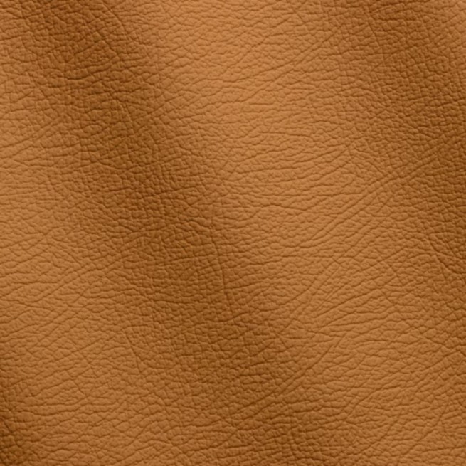 Aligo Group фото