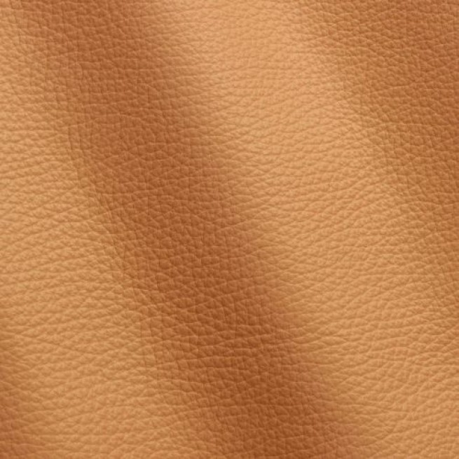 Aligo Group фото