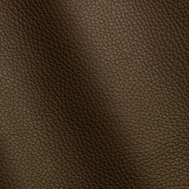 Aligo Group фото