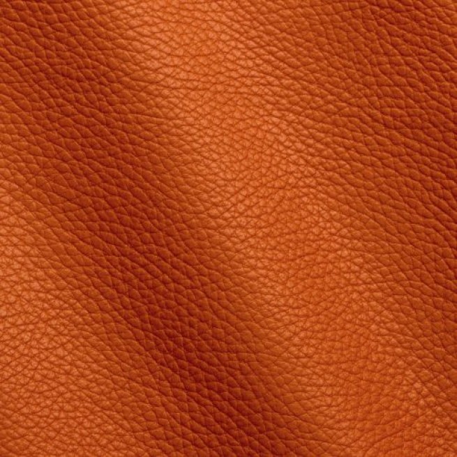 Aligo Group фото