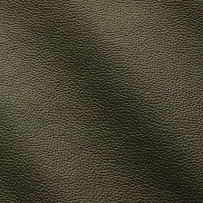 Aligo Group фото