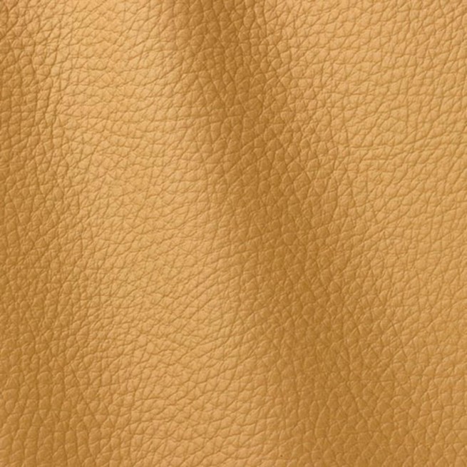 Aligo Group фото