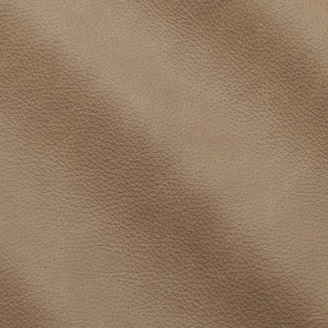 Aligo Group фото