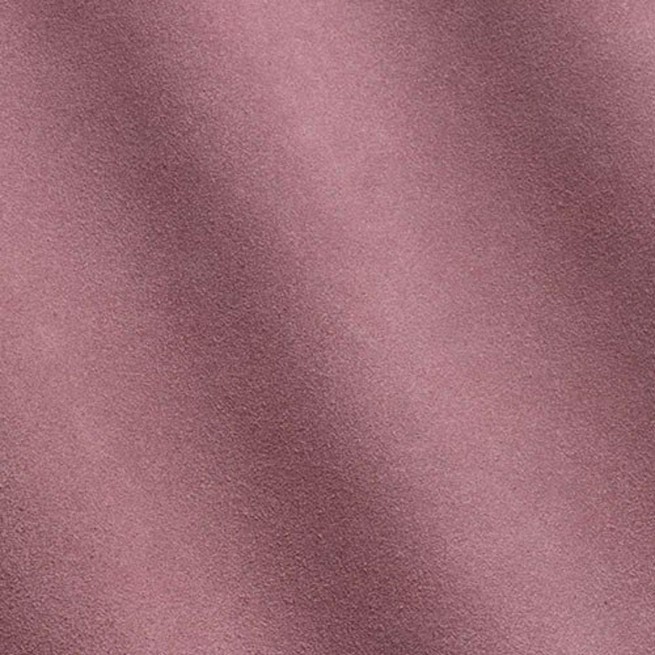 Aligo Group фото