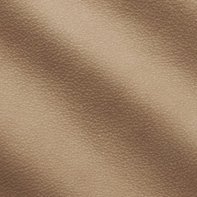 Aligo Group фото