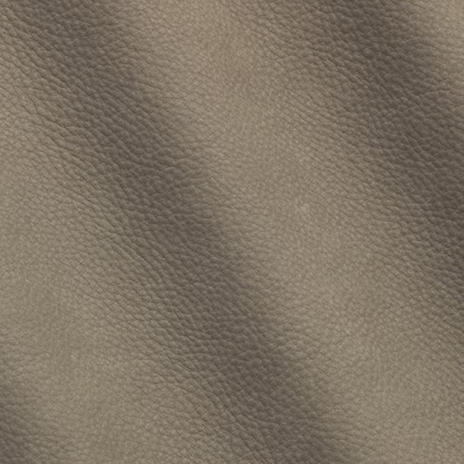 Aligo Group фото