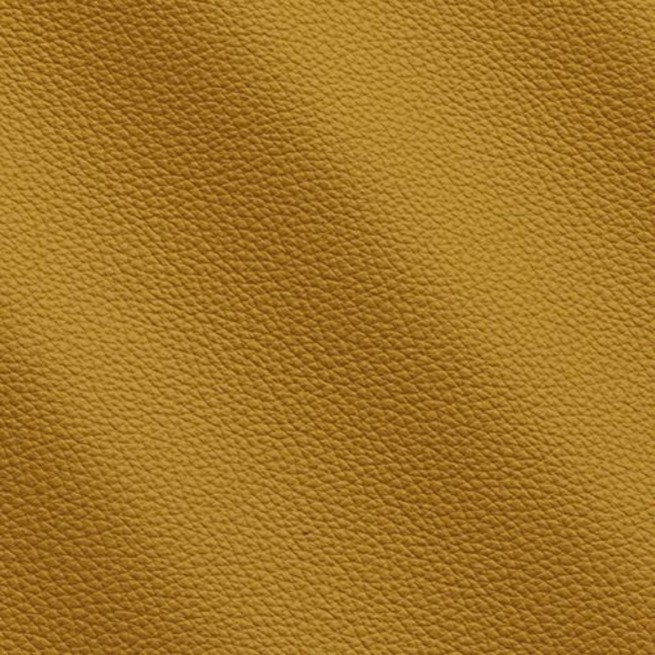 Aligo Group фото