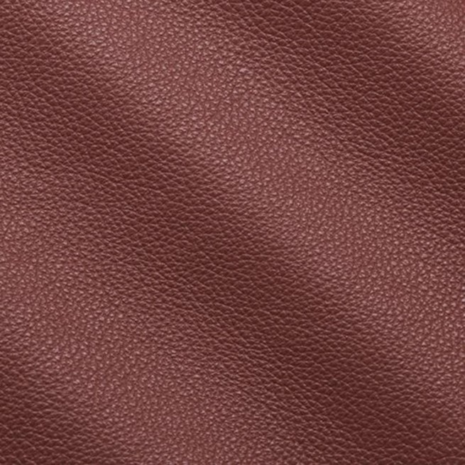 Aligo Group фото