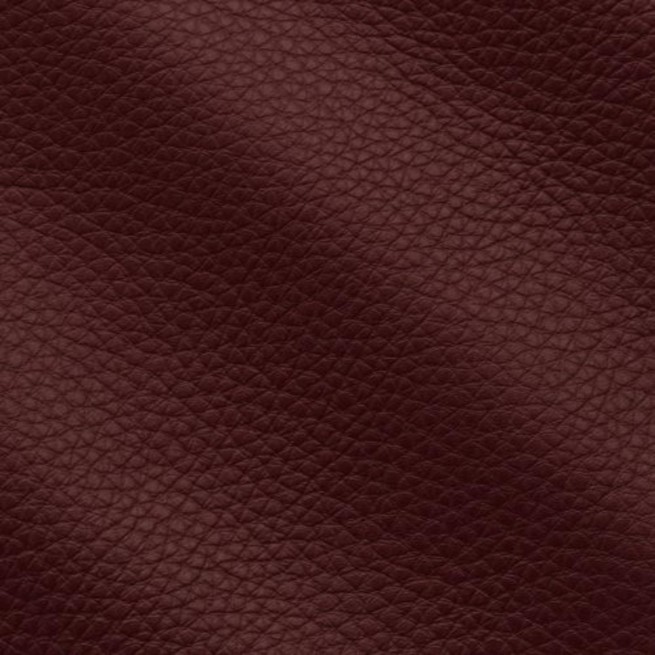 Aligo Group фото