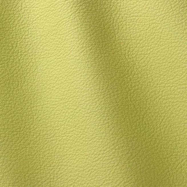 Aligo Group фото