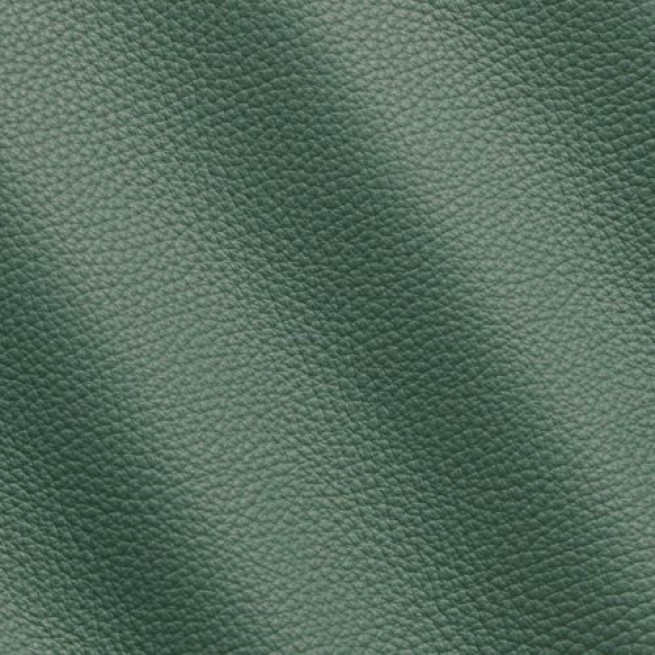 Aligo Group фото