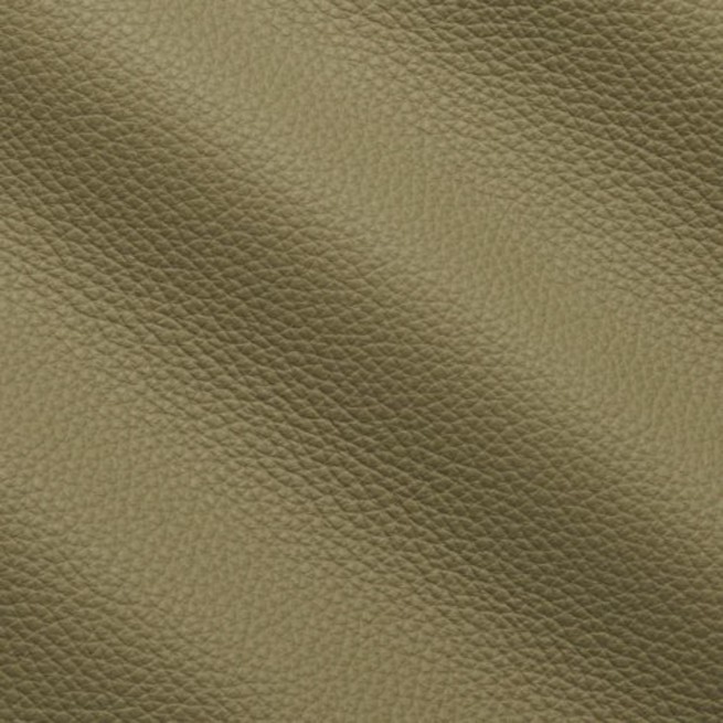 Шкіра меблева PRESCOTT зелений TERRAGON 1,2-1,4 Італія