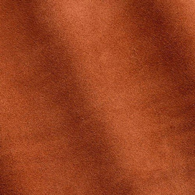 Aligo Group фото