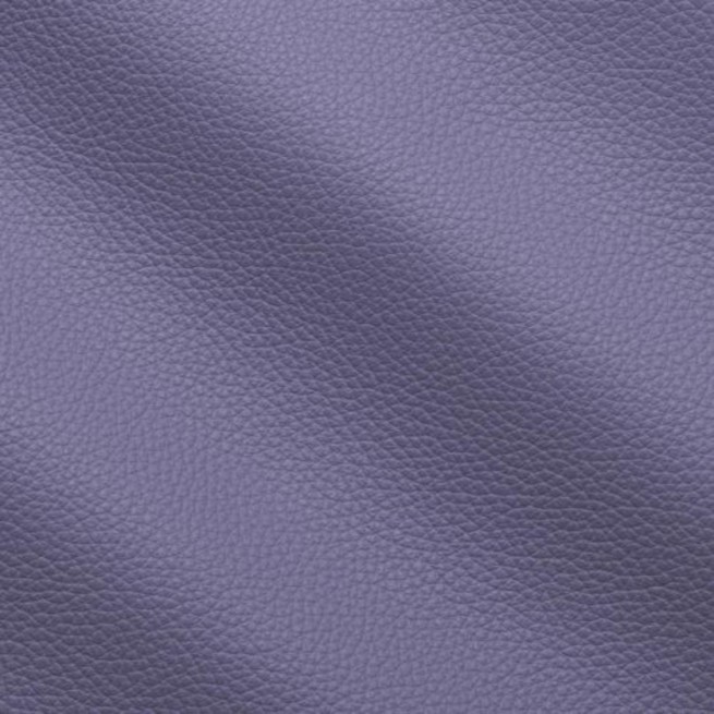 Aligo Group фото