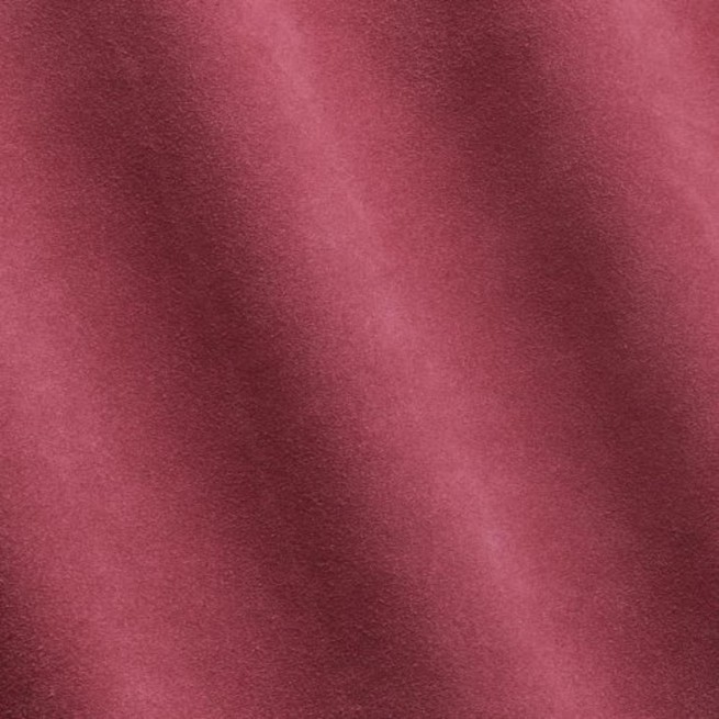 Aligo Group фото