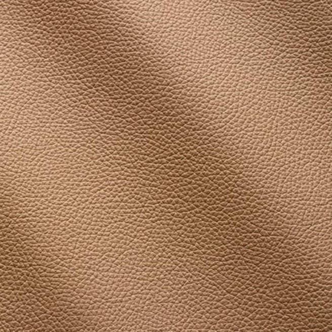 Aligo Group фото