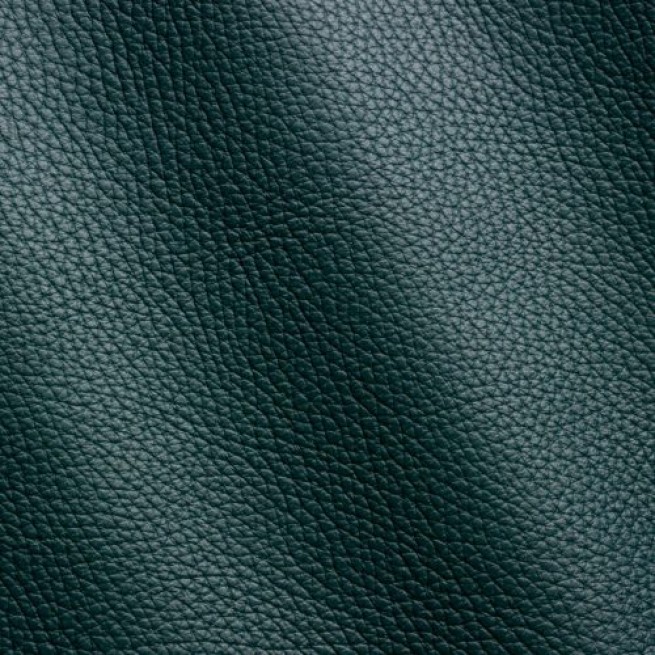 Aligo Group фото