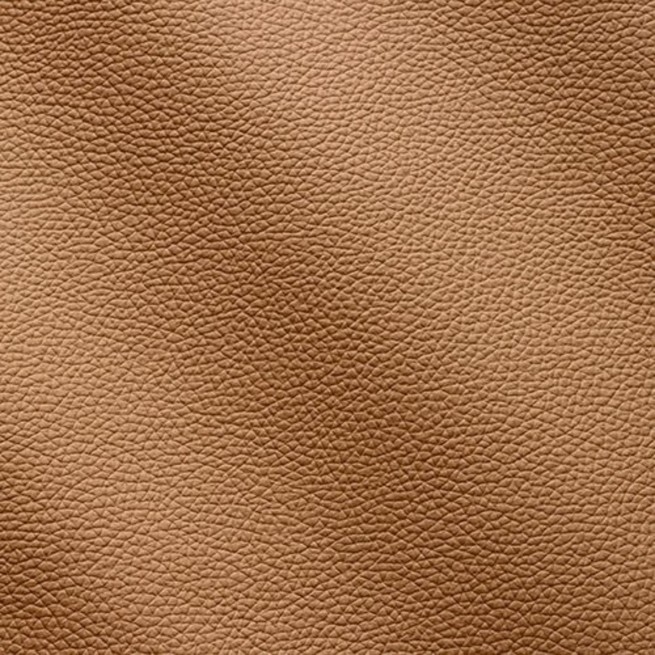 Aligo Group фото