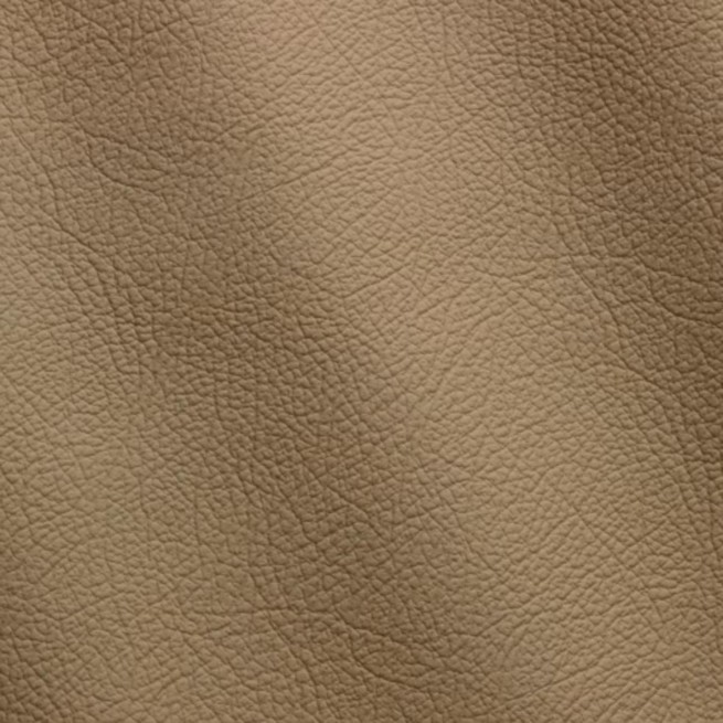 Aligo Group фото