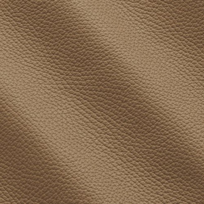 Aligo Group фото