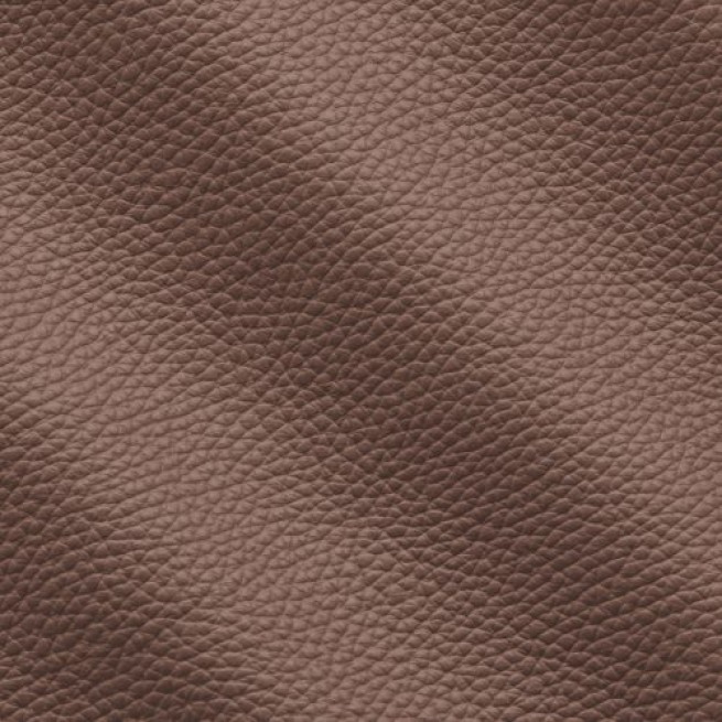 Aligo Group фото