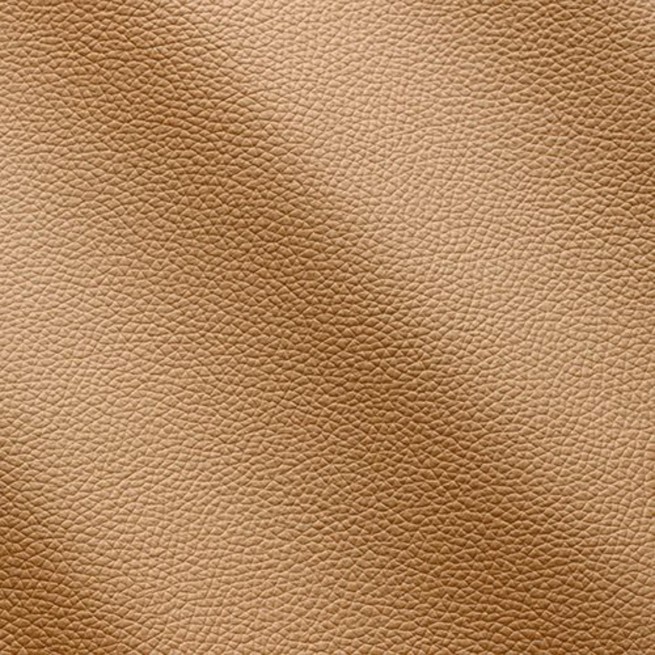 Aligo Group фото