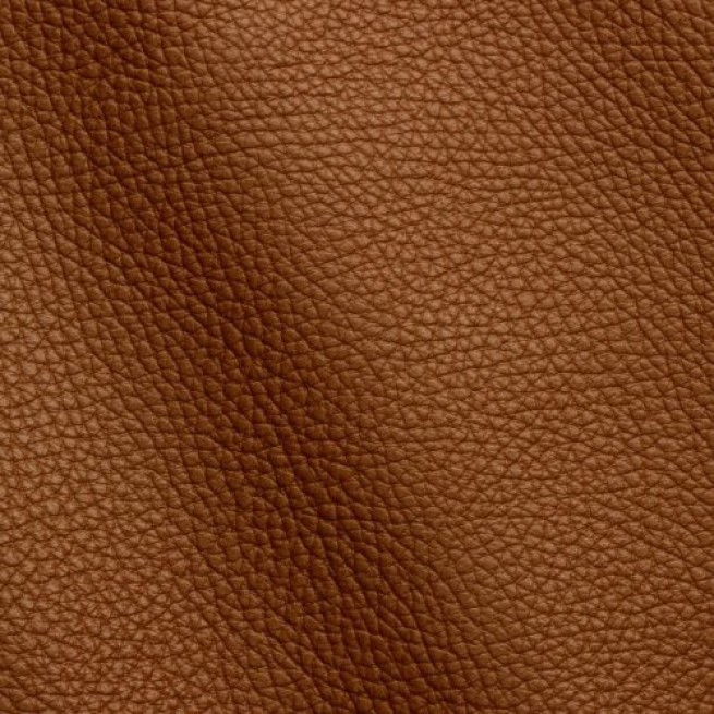 Aligo Group фото