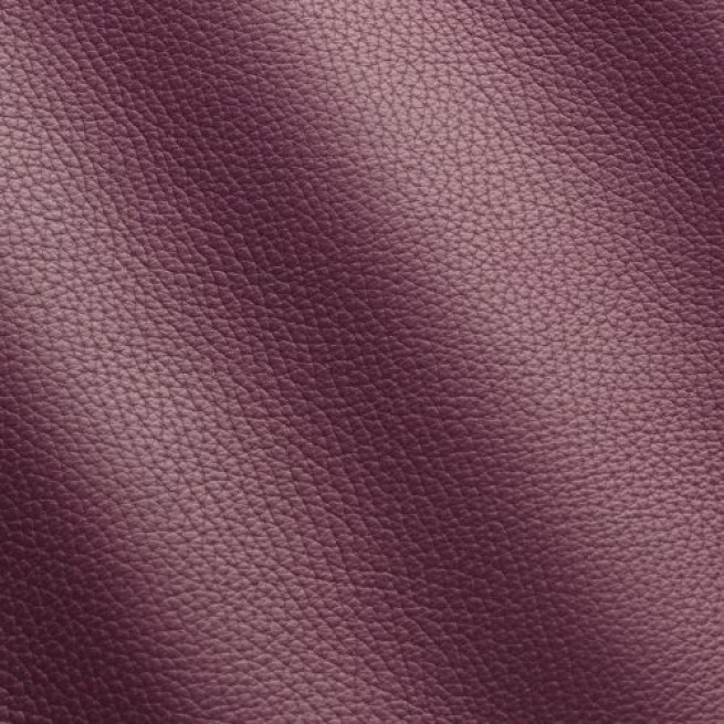 Aligo Group фото