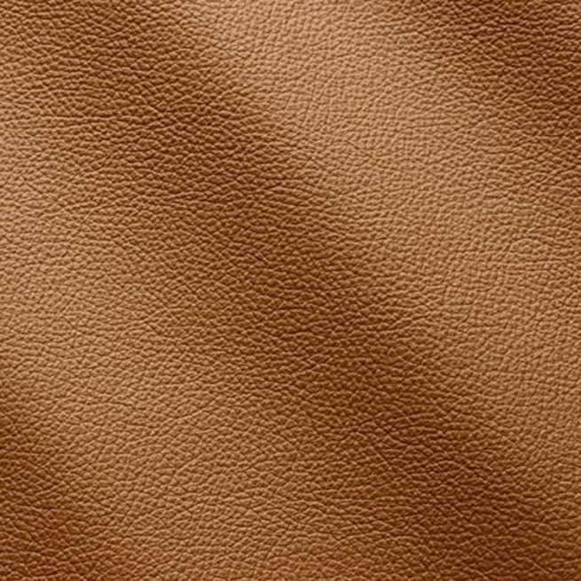 Aligo Group фото