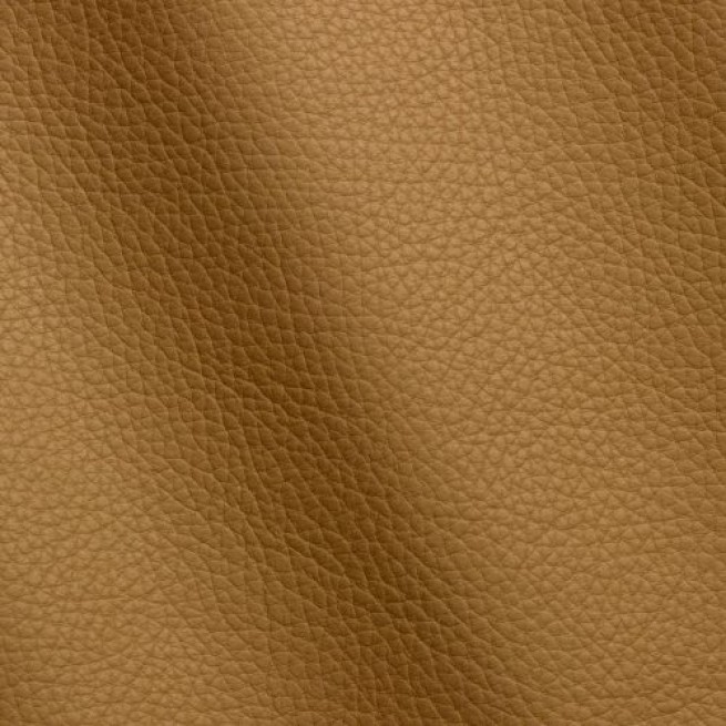 Aligo Group фото