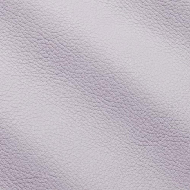 Aligo Group фото