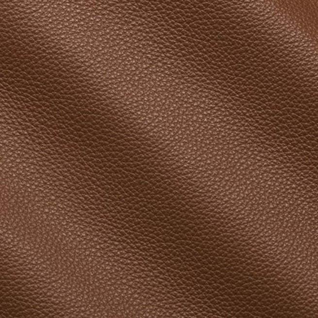 Aligo Group фото