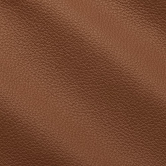 Aligo Group фото