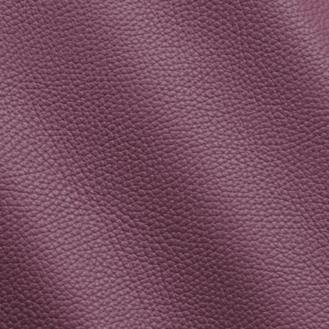 Aligo Group фото