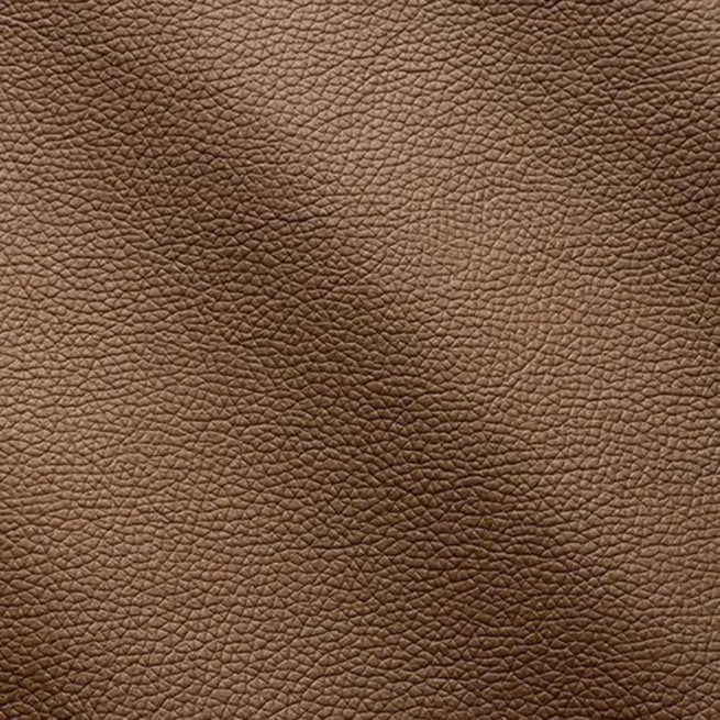 Aligo Group фото