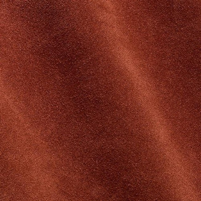 Aligo Group фото