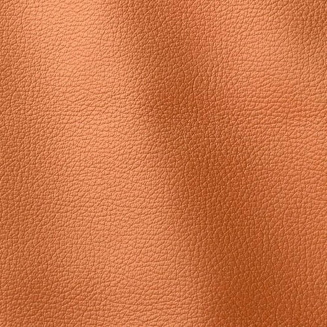 Aligo Group фото