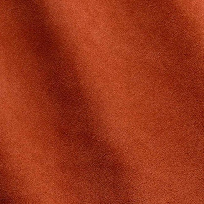 Aligo Group фото