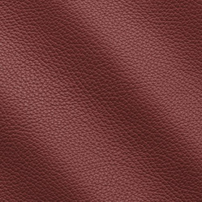 Aligo Group фото