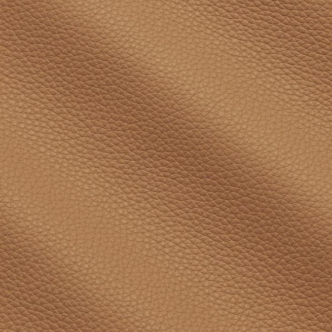 Aligo Group фото