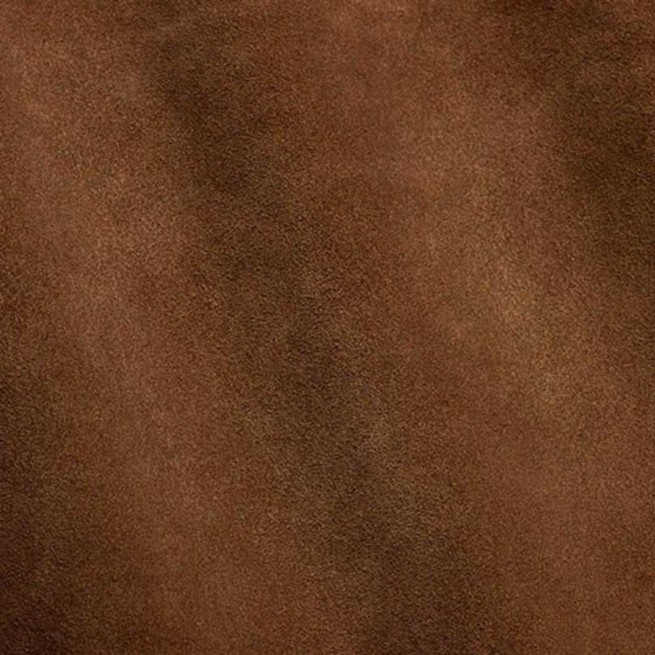 Aligo Group фото