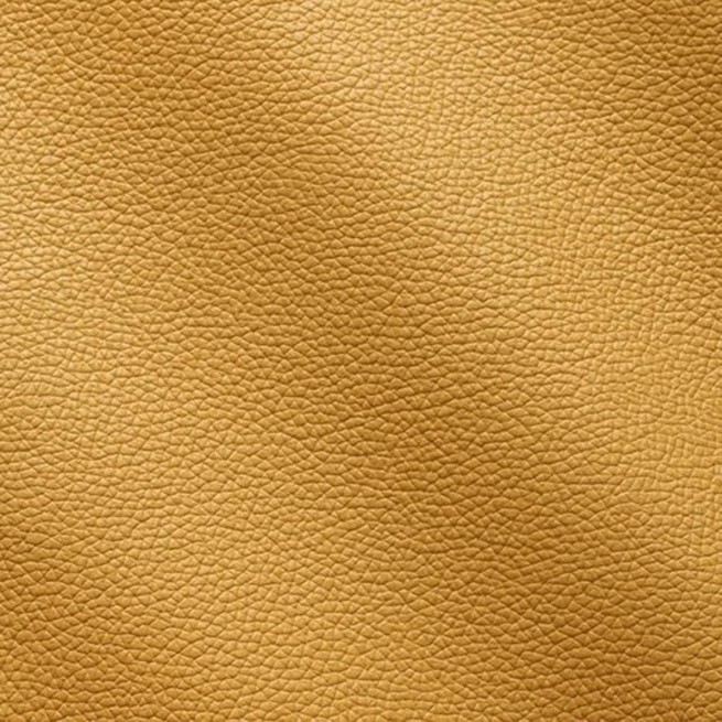 Aligo Group фото