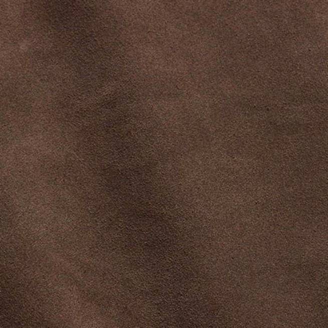 Aligo Group фото