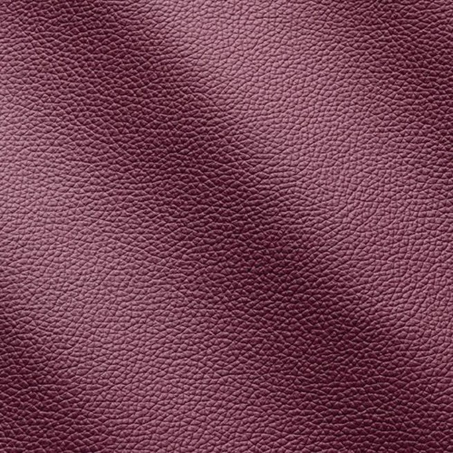 Aligo Group фото